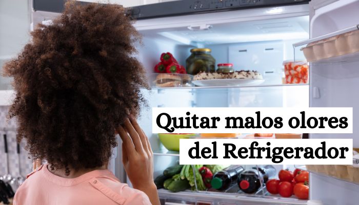 Cómo quitar el mal olor del Refrigerador Rápido